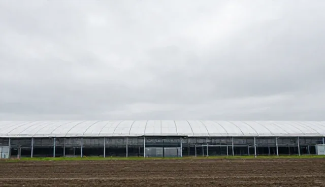 网络工程服务场景选型与维护建议